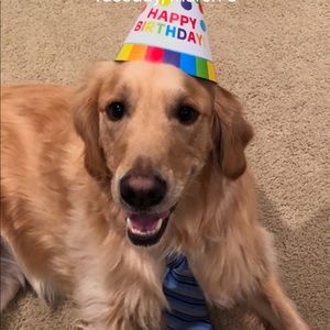 Meet your Posher, Ali